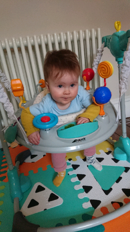 hauck jumperoo